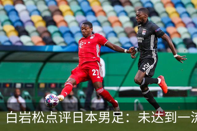 白岩松点评日本男足：未达到一流强队标准，仍需克服对荷兰的恐惧